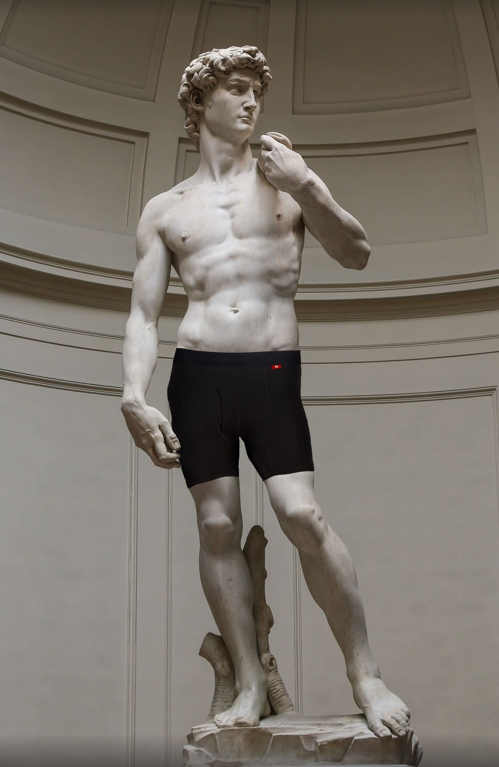 Premium Merino Wool Boxer Briefs - Lifestyle