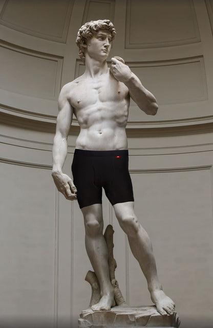 Premium Merino Wool Boxer Briefs - Lifestyle
